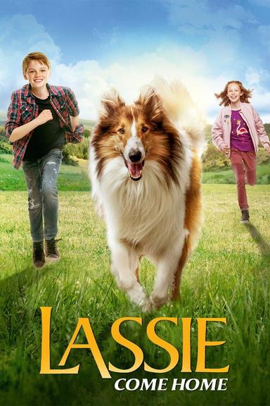 Lassie - Eine abenteuerliche Reise poster