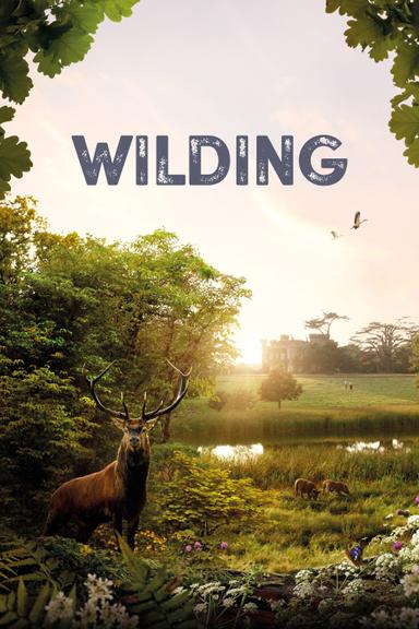 Wilding poster