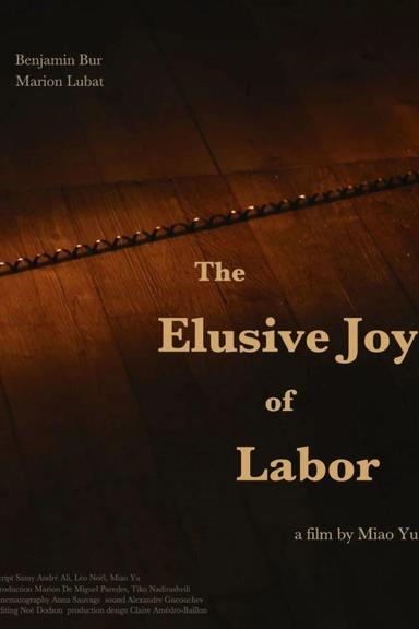 The Elusive Joy of Labor poster