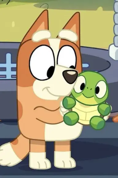 Bluey: Turtleboy (Auslan) poster