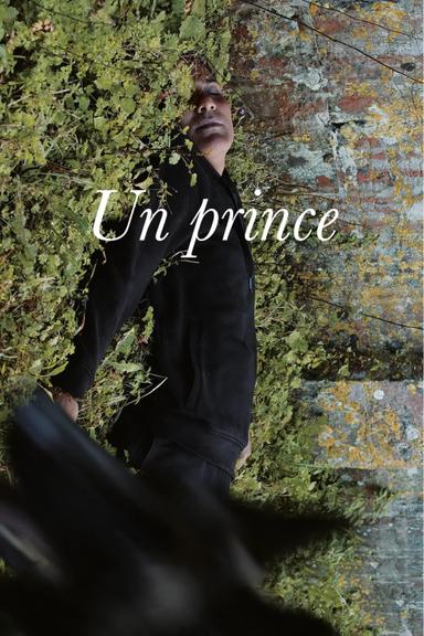 A Prince poster