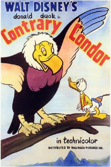 Contrary Condor poster