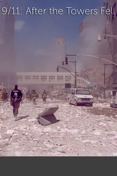 9/11: After The Towers Fell poster