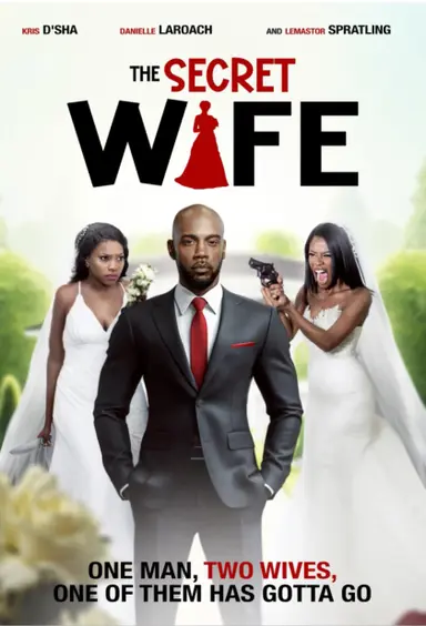 The Secret Wife poster