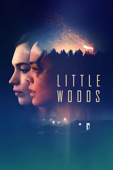 Little Woods poster