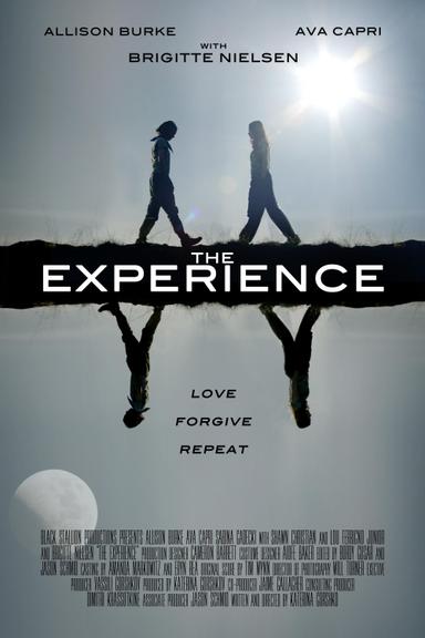 The Experience poster