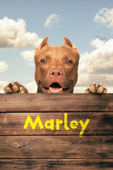 Marley poster