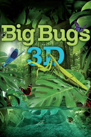 Big Bugs poster