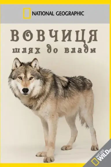 Wild Yellowstone: She Wolf poster