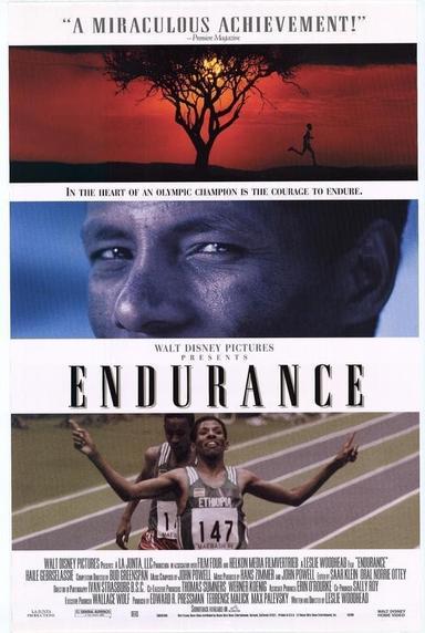 Endurance poster