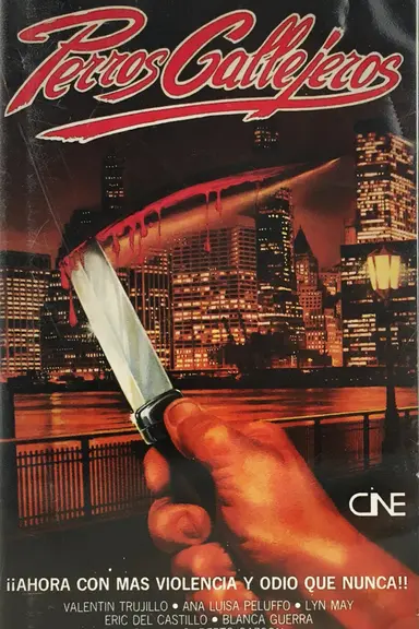 Perro callejero poster