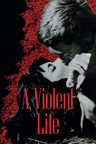 Violent Life poster