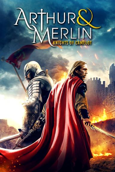 Arthur & Merlin: Knights of Camelot poster