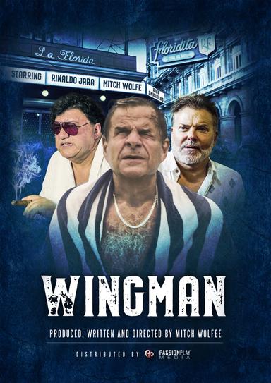 WingMan poster