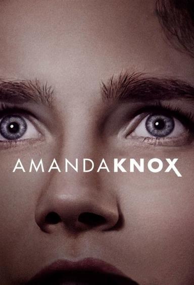 Amanda Knox poster