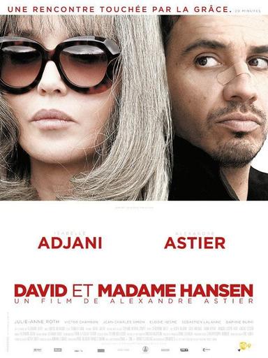 David et Madame Hansen poster