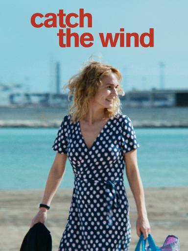 Catch the Wind poster