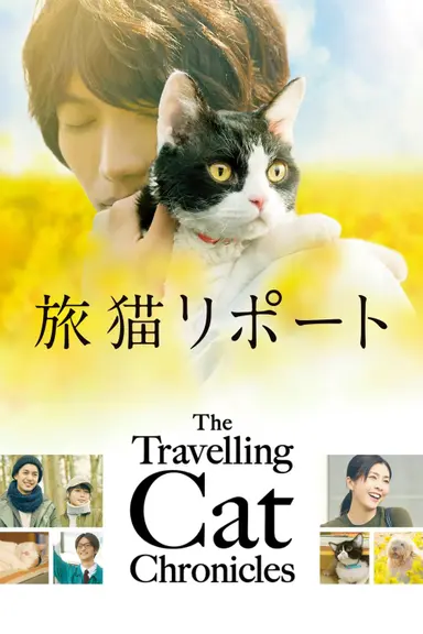 The Travelling Cat Chronicles poster