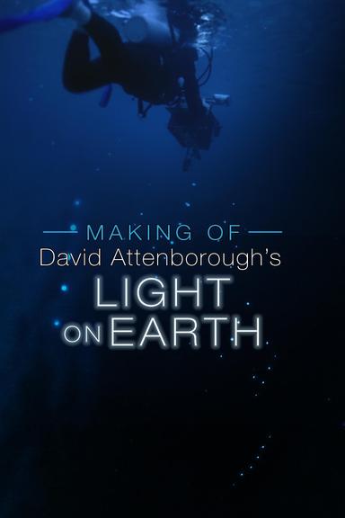 The Making Of David Attenborough's Light On Earth poster