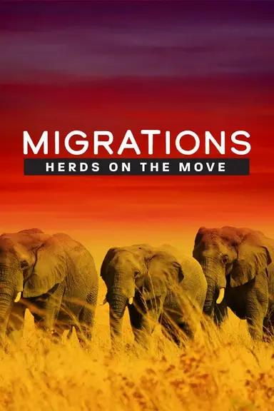 Migrations: Herds on the Move poster