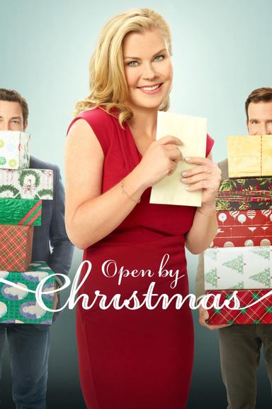 Open by Christmas poster