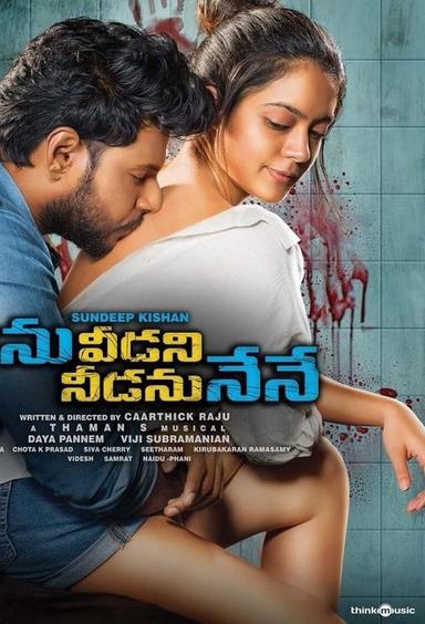 Ninu Veedani Needanu Nene poster