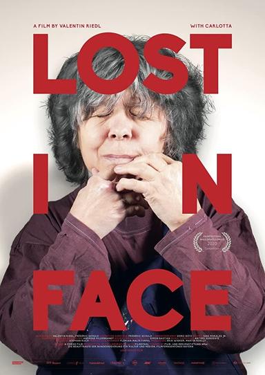 Lost in Face poster