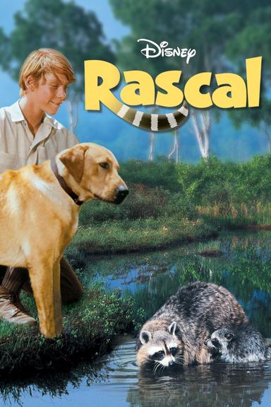 Rascal poster