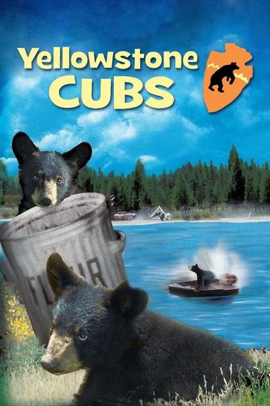 Yellowstone Cubs poster