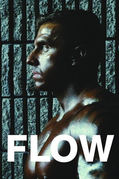 Flow poster