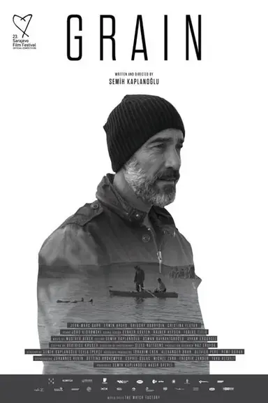 Buğday poster
