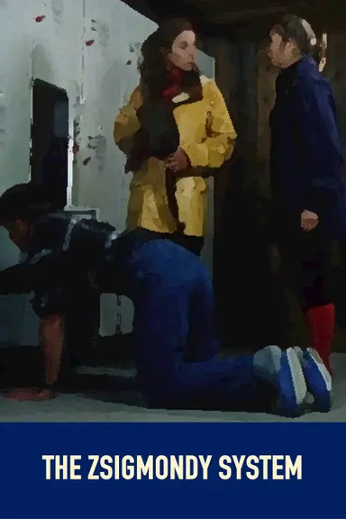 The Zsigmondy System poster