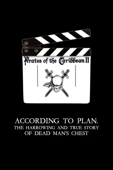 According to Plan: The Harrowing and True Story of Dead Man's Chest poster