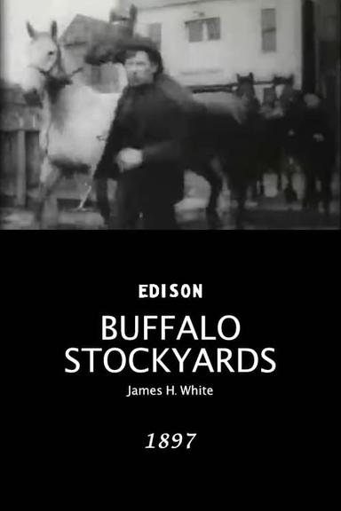 Buffalo Stockyards poster