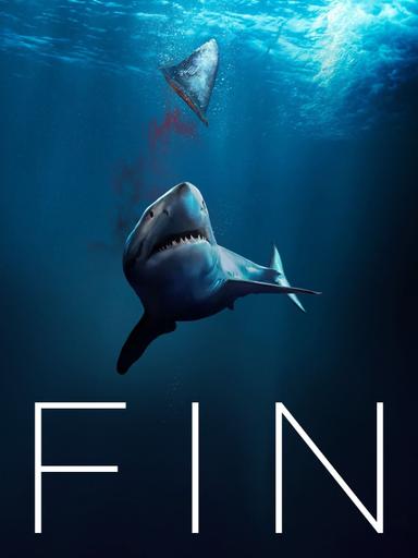 Fin poster