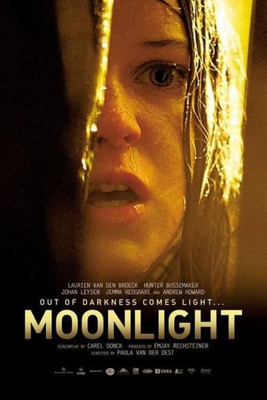 Moonlight poster