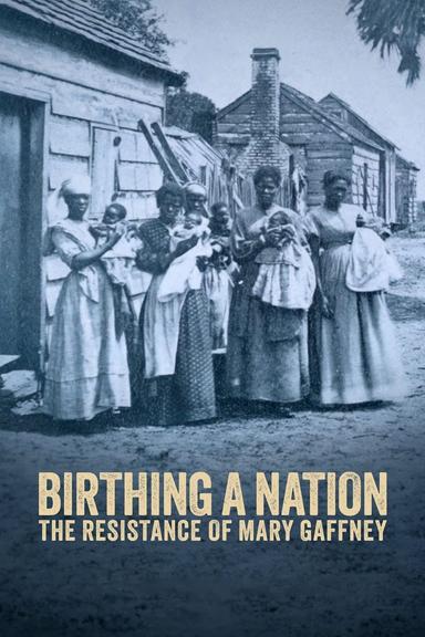 Birthing a Nation: The Resistance of Mary Gaffney poster