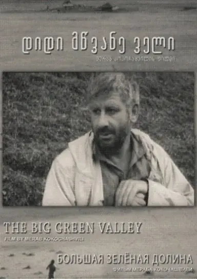 Great Green Valley poster