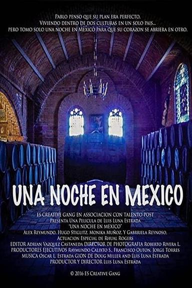 Una Noche En Mexico poster