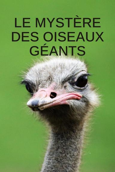 Le mystère des oiseaux géants poster