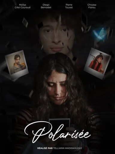 Polarized poster