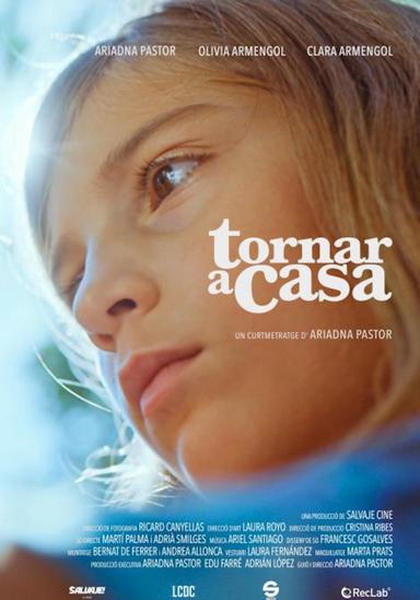 Tornar a casa poster