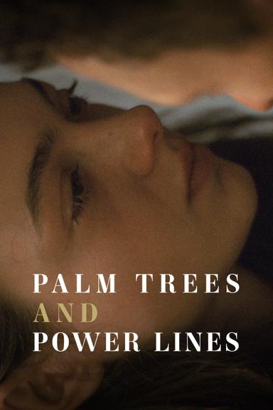 Palm Trees and Power Lines poster