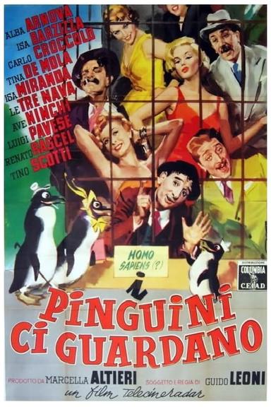 I pinguini ci guardano poster