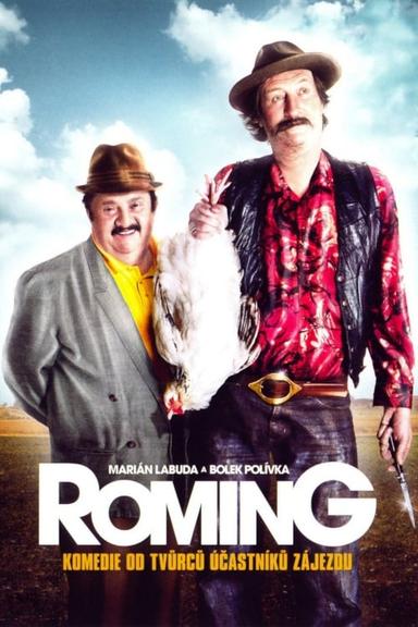 ROMing poster