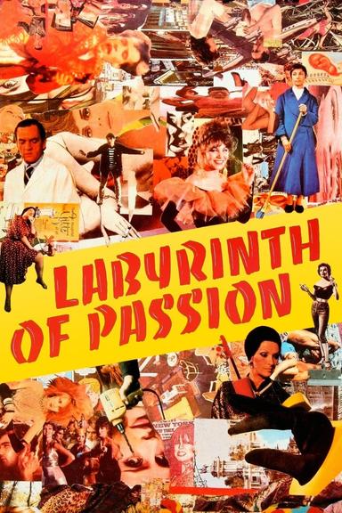 Labyrinth of Passion poster