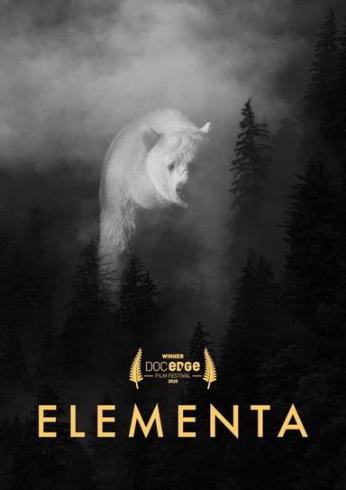 Elementa poster