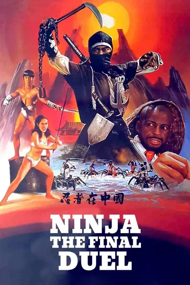 Ninja the Final Duel poster