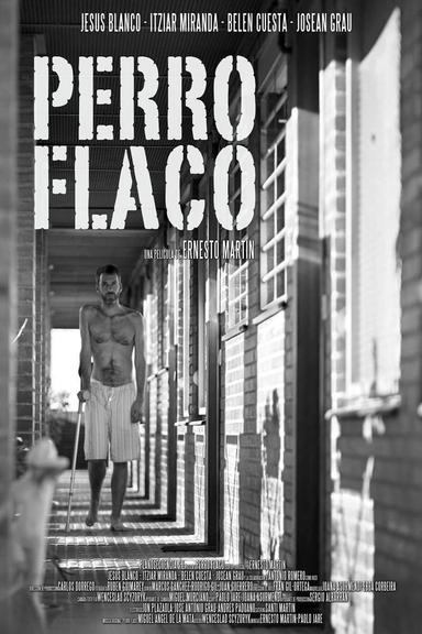 Perro flaco poster