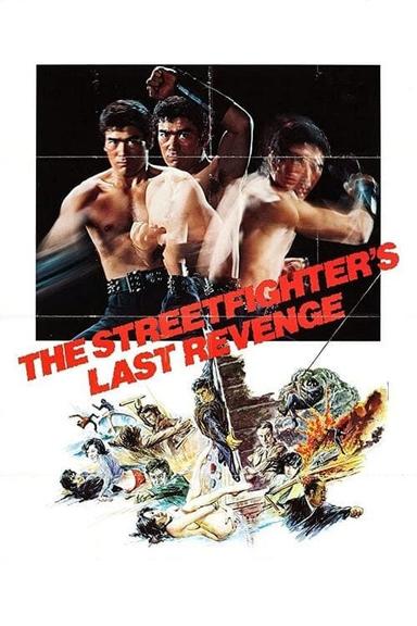 The Street Fighter's Last Revenge poster